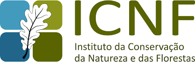 INCF LOGO