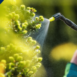 Atualização em Distribuição, Comercialização e Aplicação de Produtos Fitofarmacêuticos (ADCAPF)