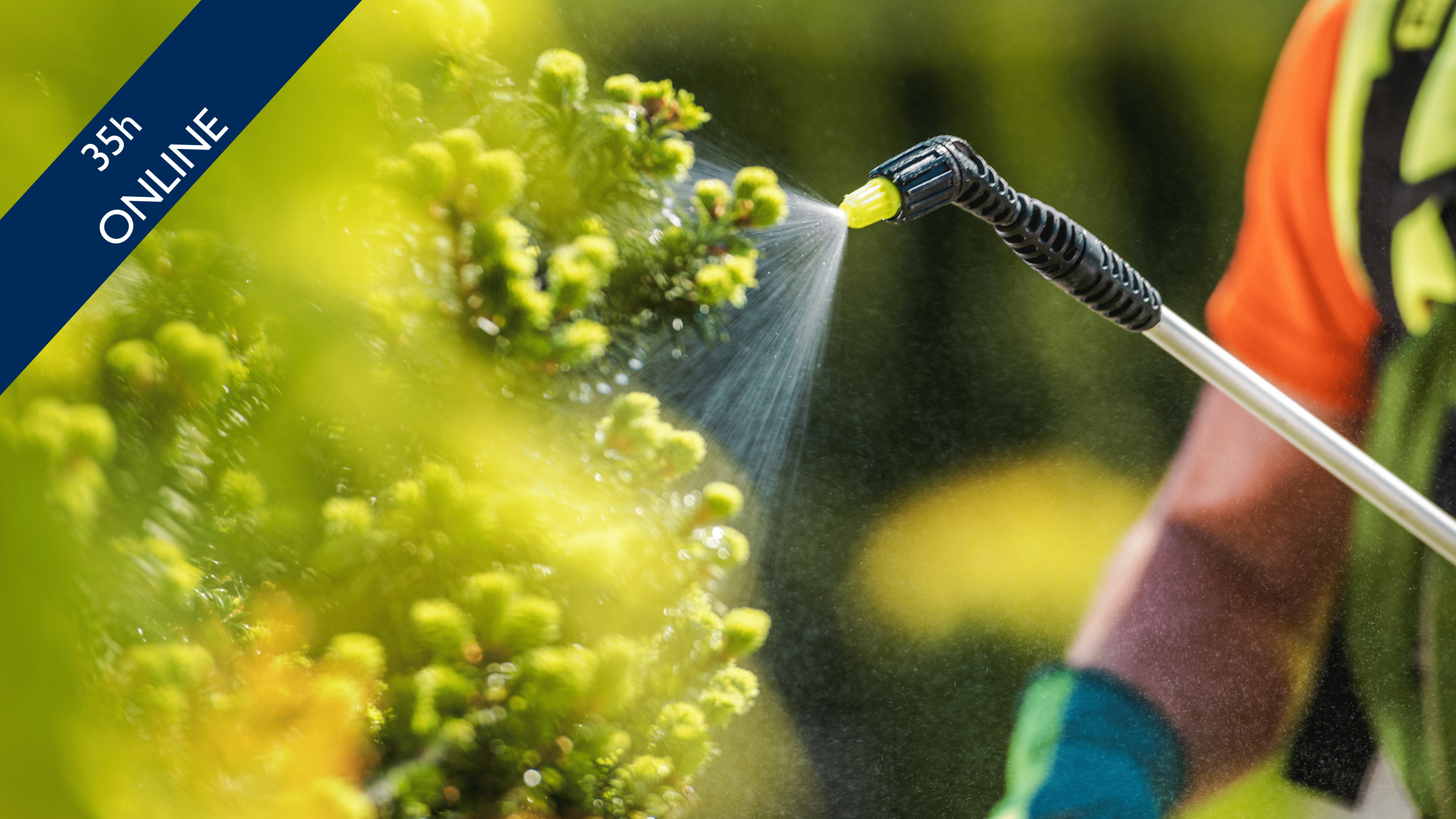 Atualização em Distribuição, Comercialização e Aplicação de Produtos Fitofarmacêuticos (ADCAPF)